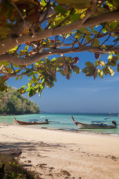 KO PHI PHI, THAILAND, February 2, 2014: Tropical beach with traditional long tail boats on the beach Mosquito island, Ko Phi Phi archiplago, Andaman Sea, famous tourist destination in Thailand