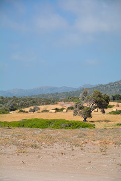 East Coast of Cyprus