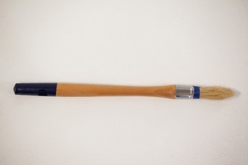 Filbert paint brush against white background