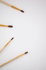Paint brushes against white background