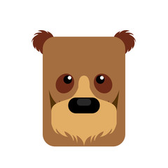 Isolated abstract bear