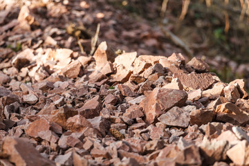 Kamienie różnej wielkości w lesie  oświetlone słońcem