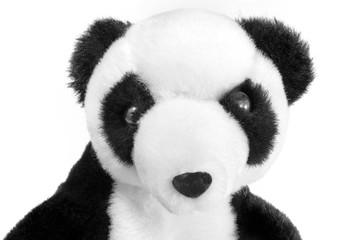 Plush toy panda head. Isolated.