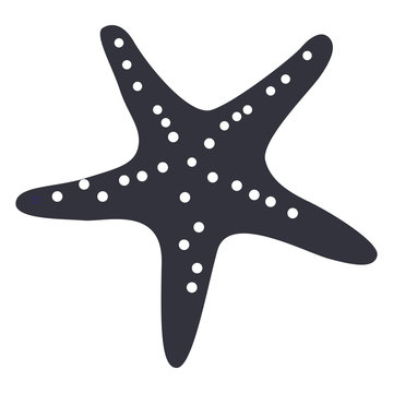 Isolated starfish silhouette