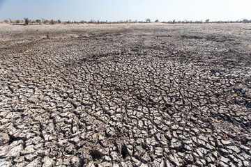 Okavango Delta - Moremi N.P.