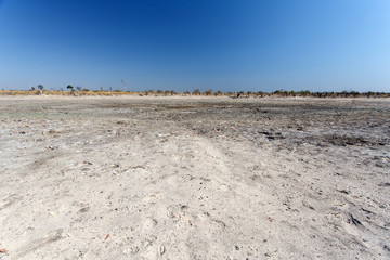Okavango Delta - Moremi N.P.