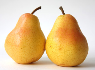 Two yellow pears, isolated on a white background.