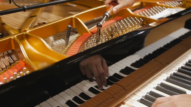 Tuning Piano with Audio.
Close up shot of tuning piano with audio. / Flowing shot of tuning piano with audio.  
