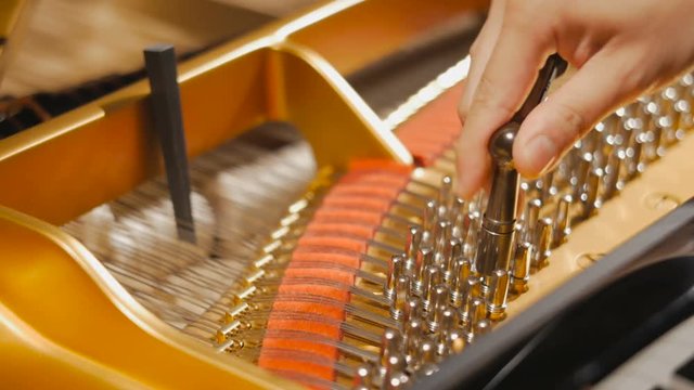 Tuning Piano with Audio.
Close up shot of tuning piano with audio. / Flowing shot of tuning piano with audio.  
