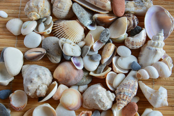 small shells and stones on a bamboo Mat
