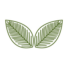 leafs plant ecology icon vector illustration design