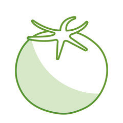 fresh tomate vegetable icon vector illustration design