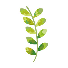 leafs plant decorative icon vector illustration design