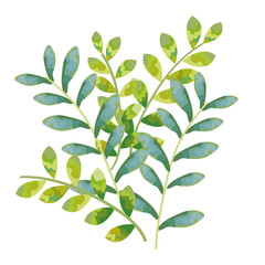 leafs plant decorative icon vector illustration design