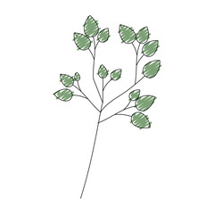 leafs plant decorative icon vector illustration design