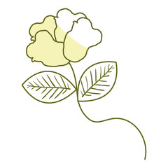 beautiful rose decoration icon vector illustration design