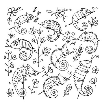 Chameleon collection, sketch for your design