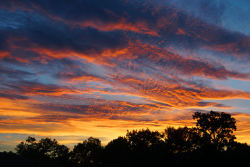 colorful dramatic sky and forest silhouette at sunset time