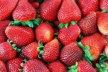 fresh strawberry harvest background