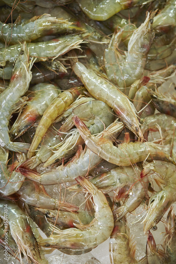 Wall mural Seafood market