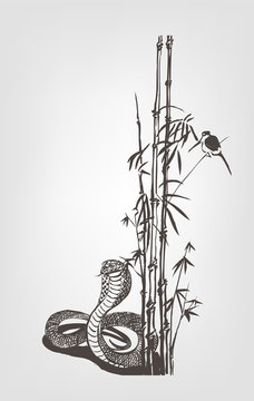 Snake under the bamboo bush. Vector illustration ink. 