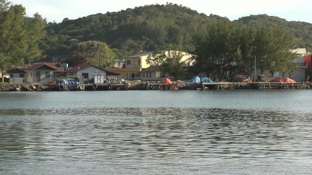 Dolphin comes out of water,  Laguna,  Santa Catarina