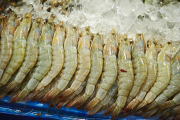 fresh prawns