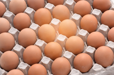 Abstract soft blurred and soft focus the eggs from the chicken farm in the package.Nice and clean...