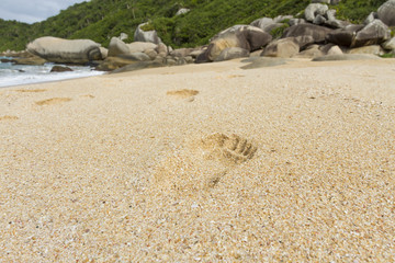 Fototapeta na wymiar Footprint on the beach