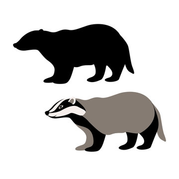 badger vector illustration style Flat black silhouette