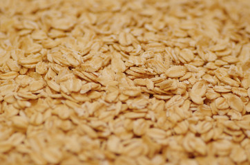 rolled oat, oat flakes photo, oat background