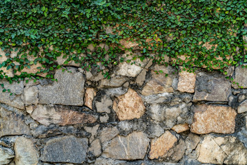 Stone wall texture