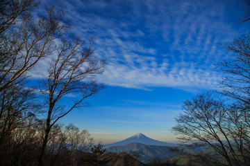 大蔵高丸から臨む富士山