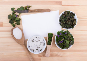 herbal salt / herbal salt, fresh and dried ground ivy