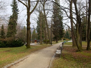 landscape of park
