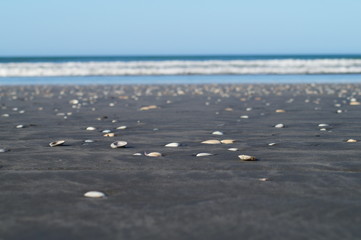 Ohope Beach NZ