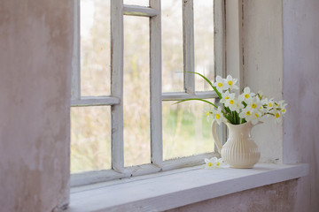 daffodils in jug on windowsill