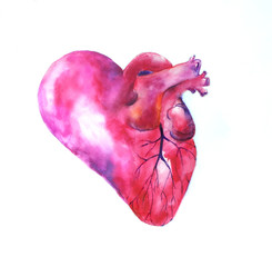 рисунок акварелью человеческое сердце розовый цвет