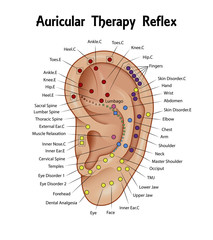 Auricular Therapy Reflex Chart