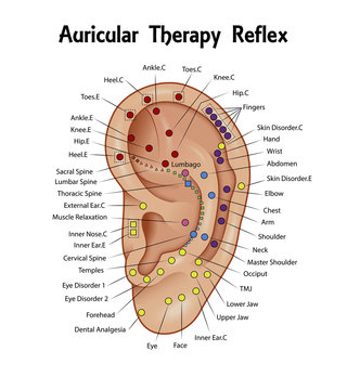 Auricular Therapy Reflex Chart