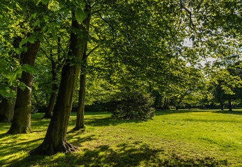 Fototapeta na wymiar Grüner Park im Frühling