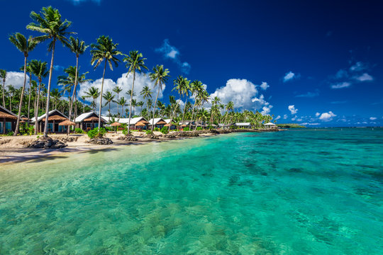 Fototapeta Tropical beach with with coconut palm trees and villas on Samoa