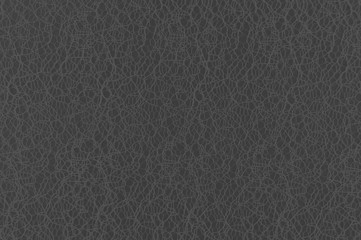 Dark gray background with light lines. Monochrome background with a light cobweb.