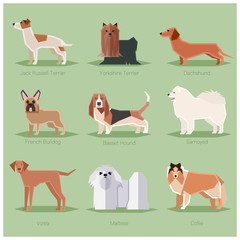Dog flat icons set