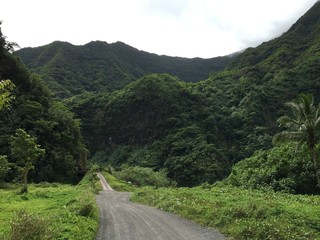 Safari tour through the inner country of Tahiti and the Papenoo valley, Tahiti, French Polynesia