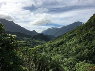 Safari tour through the inner country of Tahiti and the Papenoo valley, Tahiti, French Polynesia