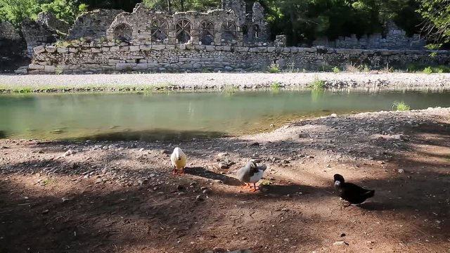 Roman Temple