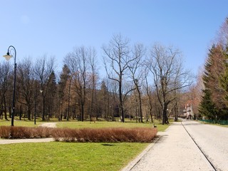 landscape of park