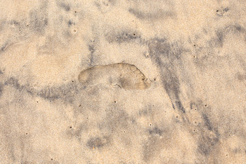 Foot trace on a sandy beach.