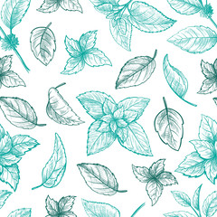 Mint hand sketch vector illustration seamless texture. Peppermint engraved drawing of menthol leaves isolated on white background. Leaf herbal spearmint plant
